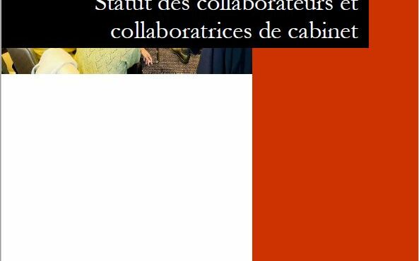 Livre blanc "Statut des collaborateurs de cabinet"